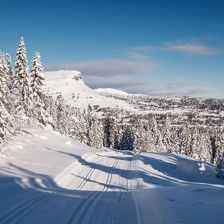 Skeikampen Leilighet, Veslesetervegen 973 F Apartment Svingvoll Luaran gambar