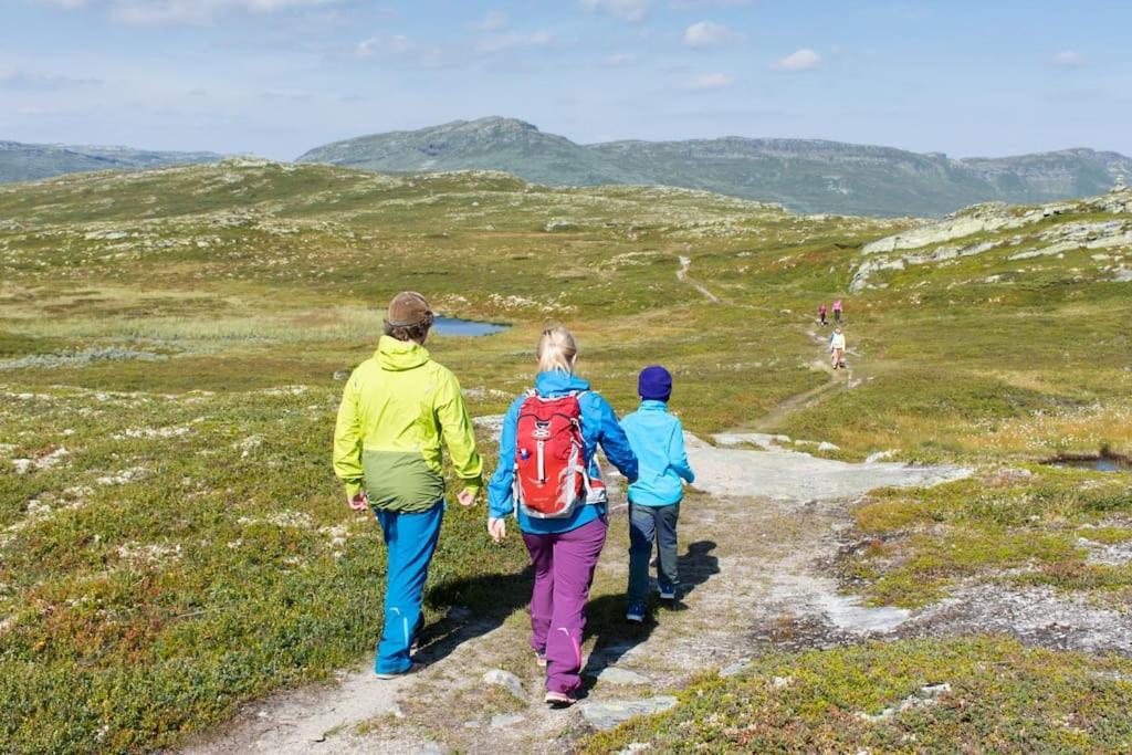 Skeikampen Leilighet, Veslesetervegen 973 F Apartment Svingvoll Luaran gambar
