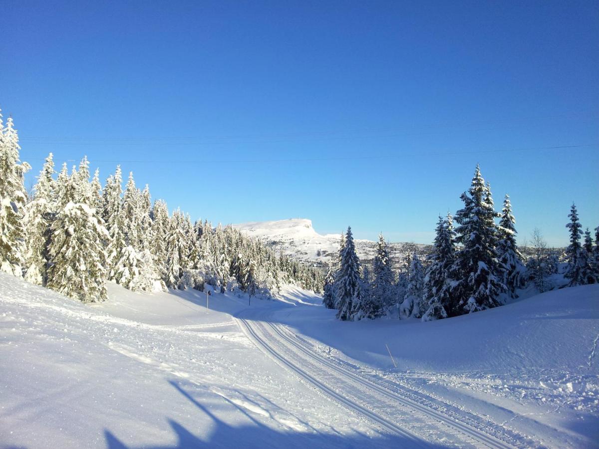 Skeikampen Leilighet, Veslesetervegen 973 F Apartment Svingvoll Luaran gambar